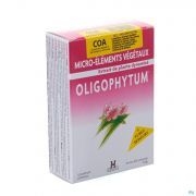 Holisitca Oligophytum Cu-Or-Argent 300 Comprimes - Vue détail 1