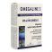 Bioholistic Diffusion Omegaline 3 Caps 60 Holistica