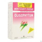 Holisitca Oligophytum Lithium 300 Comprimes - Vue détail 1