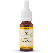 DR BACH BIO N25 RED CHESNUT 20 ML