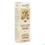 Herbalgem Balsem Lip Smeerwortel Bio 10ml
