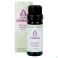 Sjankara Alladin Synergie 11ml