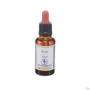 Healing Herbs Elm 30 ml - Vue détail 1