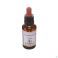 Healing Herbs Scleranthus 30 ml - Vue détail 2