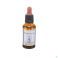 Healing Herbs Honeysuckle 30Ml - Detail 1