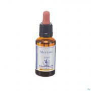 Healing Herbs Mustard 30 ml - Vue détail 1