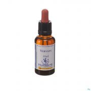 Healing Herbs Vervain 30Ml - Detail 1