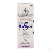 Healing Herbs 5 Flowers granules 15 g - Vue détail 1