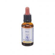 Healing Herbs Pine 30Ml - Detail 1