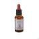 Healing Herbs gentiane 30 ml - Vue détail 2