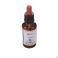 Healing Herbs Holly 30 ml - Vue détail 2