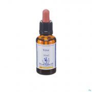 Healing Herbs Vine 30 ml - Vue détail 1