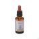 Healing Herbs Beech 30Ml - Detail 2