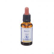 Healing Herbs Beech 30 ml - Vue détail 1