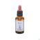 Healing Herbs Beech 30 ml - Vue détail 1