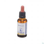 Healing Herbs Mimulus 30 ml - Vue détail 1