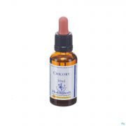 Healing Herbs Chicory 30Ml - Detail 1