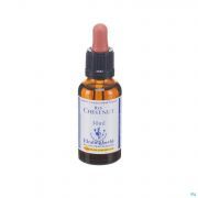 Healing Herbs Red Chestnut 30 ml - Vue détail 1