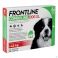 Frontline Combo Line Dog Xl >40Kg 6X4,02Ml