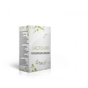 PHAR LIFE LACTO LIFE 60 CAPSULES