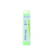 UNDA GRANULES ALLIUM CEPA 5 CH