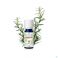 Puressentiel Eo Rozemar.cin. Bio Exp.10ml