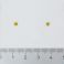 Pharma Nord D-Pearls 200 120 Capsules - Aspect 2