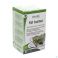 Physalis Fat Burner Infusion Bio Sachet 20 X 1,5 g - Vue détail 1