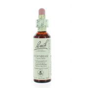 BACH FLOWER 17 HORNBEAM 20 ML   