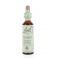 BACH FLOWER 17 HORNBEAM 20 ML   