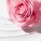 Nuxe Very Rose Lait Demaquillant Onctueux Flacon Pompe 200 ml - Utilisation 3