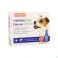Beaphar Vermicon Line-On Kleine Hond 3X1,5Ml - Detail 1