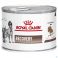 Royal Canin Cat/dog Recovery Wet 12X195G - Product 1