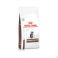 Royal Canin Chat gastrointestinal Kitten Dry 2 kg - Vue détail 1
