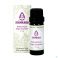 Sjankara Sapin Baumier Huile Essentielle Bio 11 ml - Produit 1