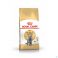 Royal Canin Cat British Shorthair Dry 10Kg - Detail 1