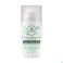 Laino Deo Roll 24H The Vert Bio 50 ml