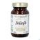 Natura Medicatrix Shilajit V-Caps 60