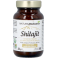 Shilajit V-caps 60