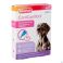 Beaphar Canicomfort Rustgevende Spot On 3X1Ml