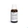 Heel Euphorbium Compositum Spray Nasal 20 ml - Produit 1