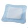 Lohmann Rauscher Vliwasorb Pro Pansement 22 X 22 Cm (10) - Produit 2