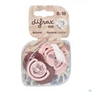 Difrax Sucette Dynamic Botanic Pink Purple 6-18 Mois (2)