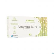 Vitamins B6-9-12 Caps 32