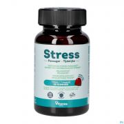 Vitavea Stress gommes (60)