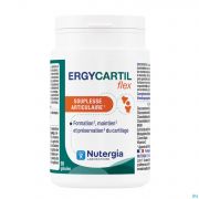 Nutergia Ergycartil Flex Caps 90