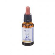 Healing Herbs Olive 30Ml - Detail 1