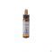 Healing Herbs Clematis 10Ml - Detail 2