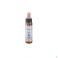 Healing Herbs Clematis 10Ml - Detail 1