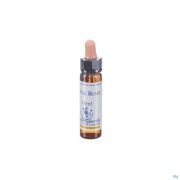 Healing Herbs Rock Rose 10Ml - Detail 1